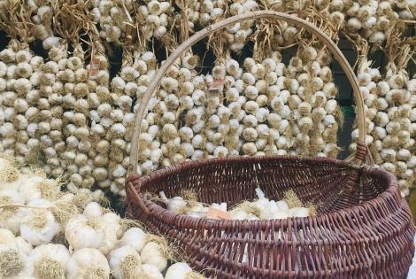 Praznik vina in česna Nova vas